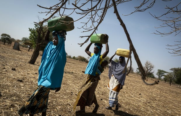 África Occidental Se Enfrenta A Su Peor Crisis Alimentaria En Diez Años Más De 27 Millones De 8395